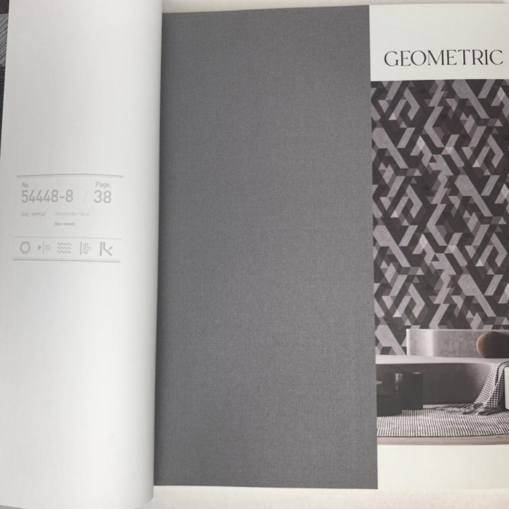 Andrea Rossi Berggi 54448-9