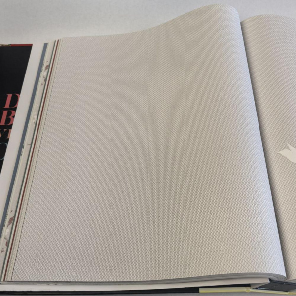 Andrea Rossi Spectrum Box 54457-3