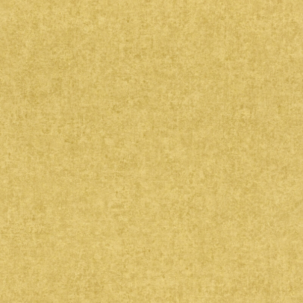 Rasch Kerala 551822