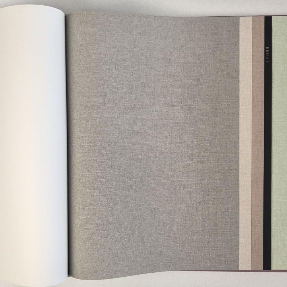 Alessandro Allori Bruni RBN 1003-12