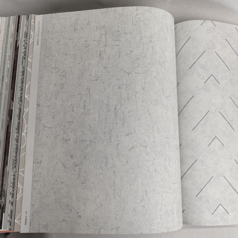 Andrea Rossi Berggi 54442-2